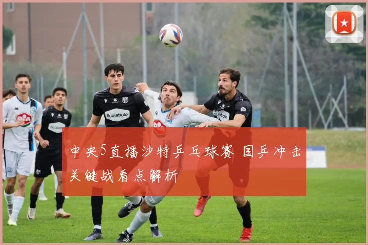 中央5直播沙特乒乓球赛 国乒冲击关键战看点解析