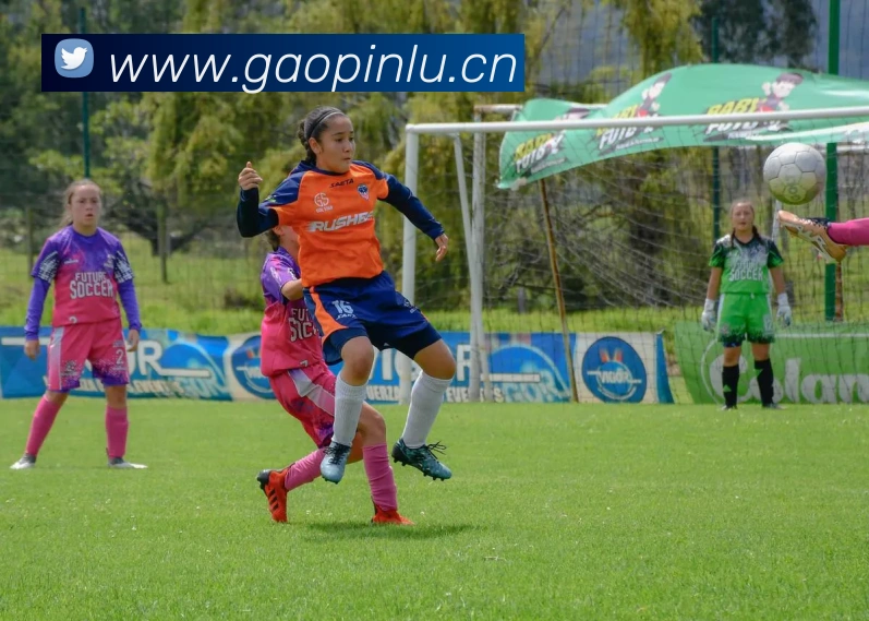 国际pg平台入口平台生态图