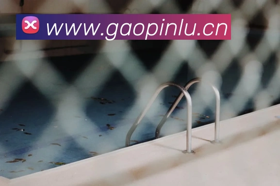 国际pg平台入口全站App